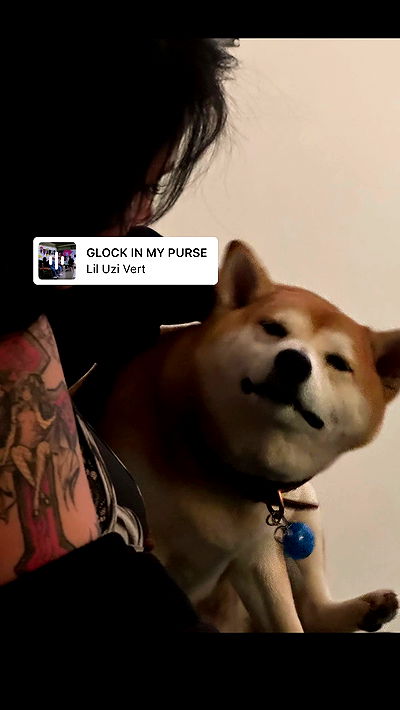 zommmbri zommmbri archive video