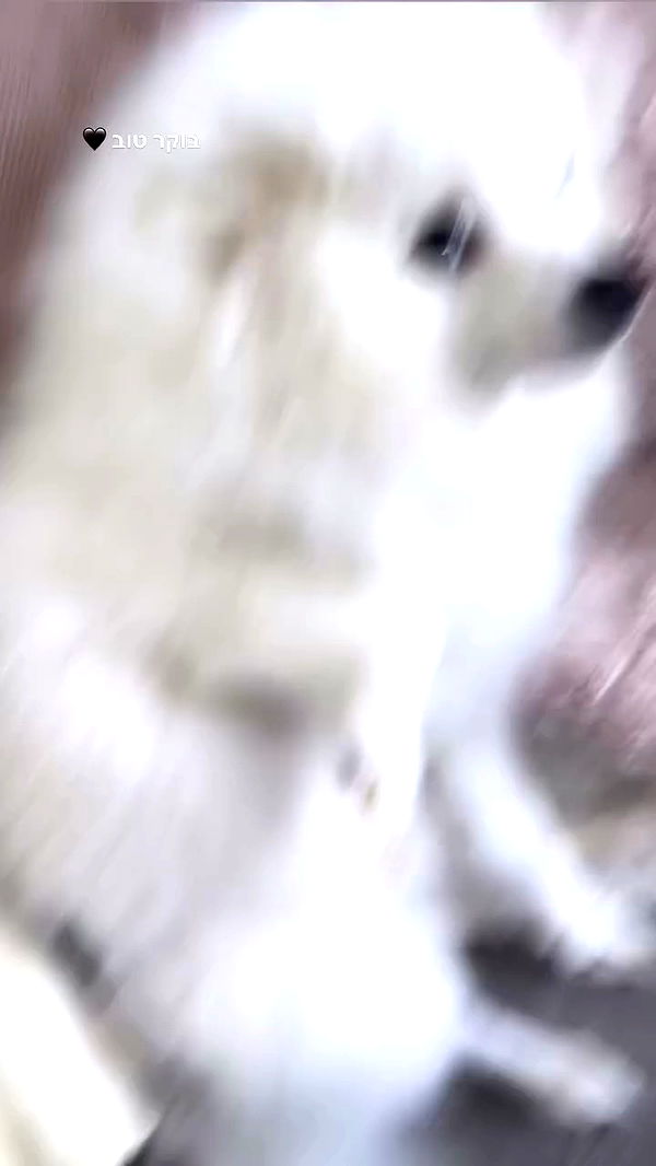 romy_lavi archive video preview