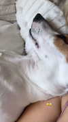 msss______britnnny Altpins Profile Picture