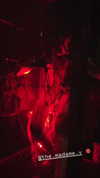 carolinesometimes Altpins Profile Picture