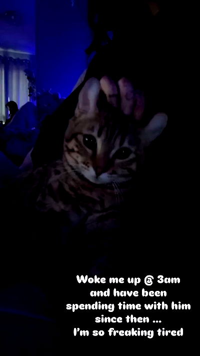 laurinchhhe laurinchhhe archive video