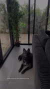 karin_orhov Altpins Profile Picture