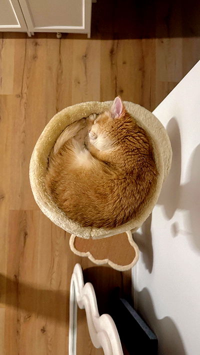 itsilanosh itsilanosh archive video