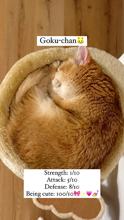 itsilanosh itsilanosh archive video