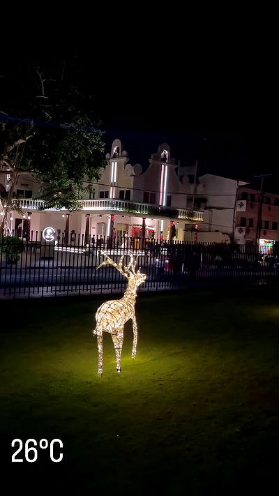 stepanovaofficial stepanovaofficial archive video