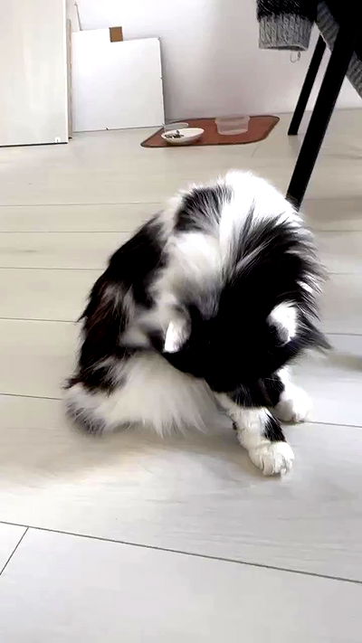 sun_bunky sun_bunky archive video