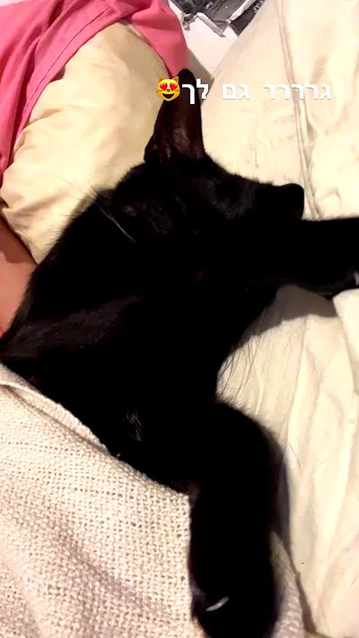 hellokittyangel666 hellokittyangel666 archive video