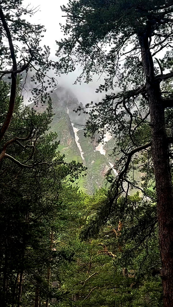 nyityam archive video preview