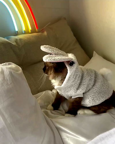 juliaernst juliaernst archive video