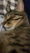 iljfgigi Altpins Profile Picture