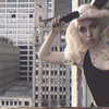 kaliuchis Altpins Profile Picture