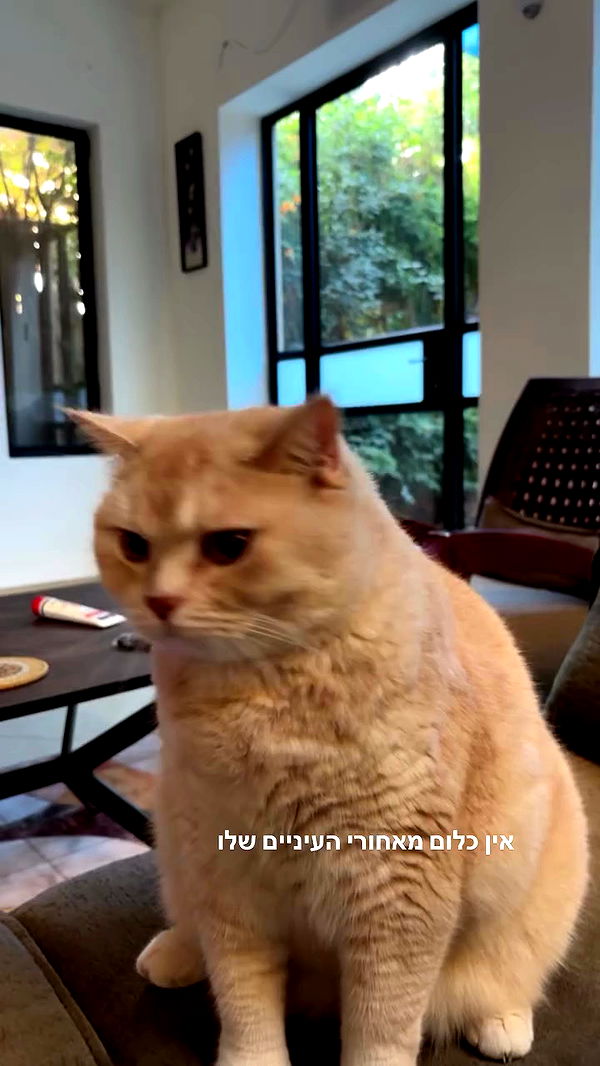 bbyerikss archive video preview