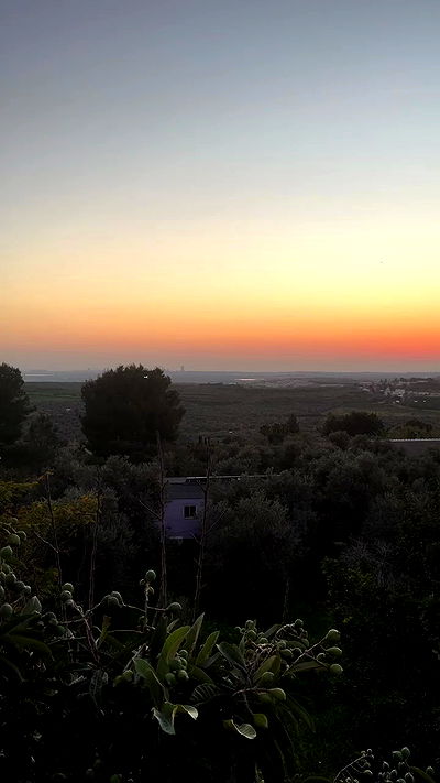 alisa.paigin alisa.paigin archive video