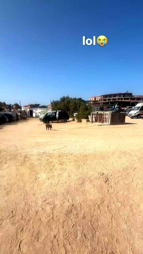 yutashik archive video preview