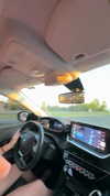 delferrara_ Altpins Profile Picture