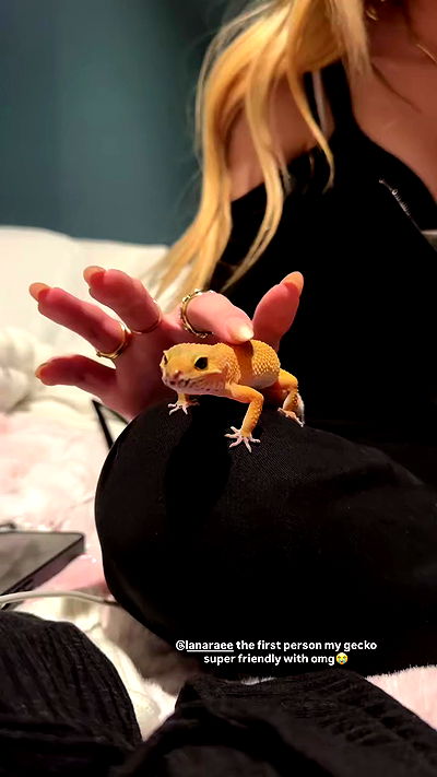 nevaaadaa nevaaadaa archive video