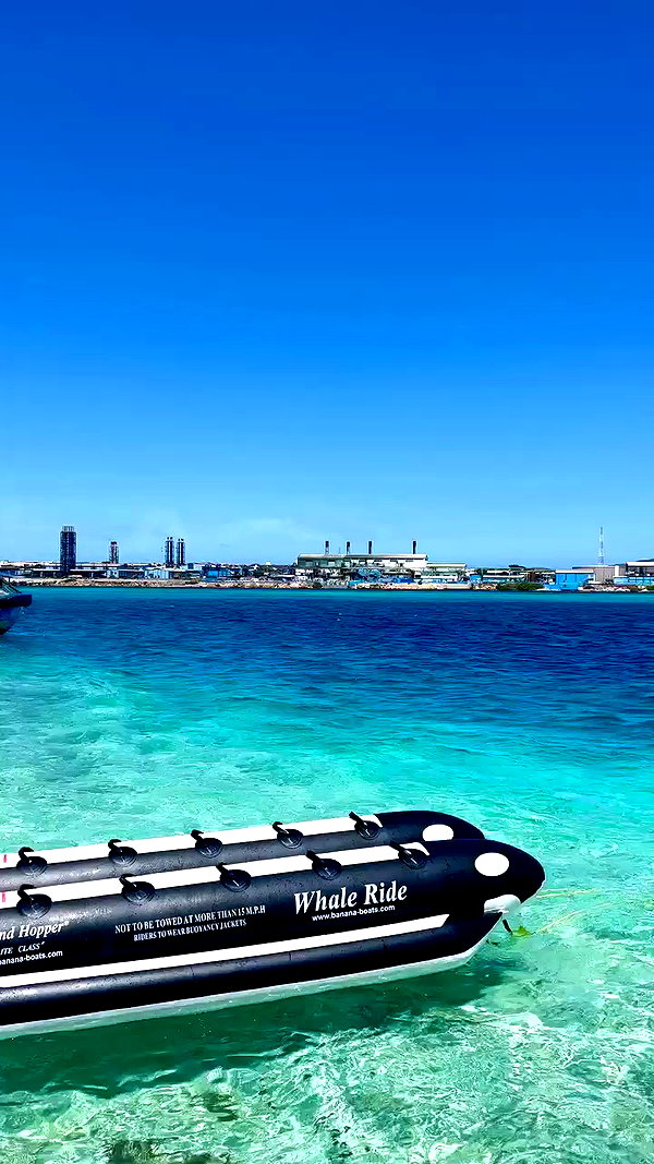 laurasaponara archive video preview