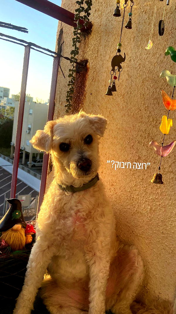 feelbetterinmysweater archive video preview