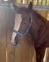 jasmine.soll Altpins Profile Picture