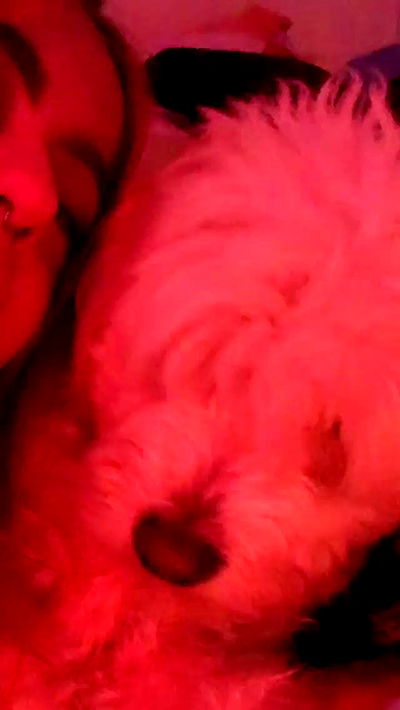 feelbetterinmysweater feelbetterinmysweater archive video