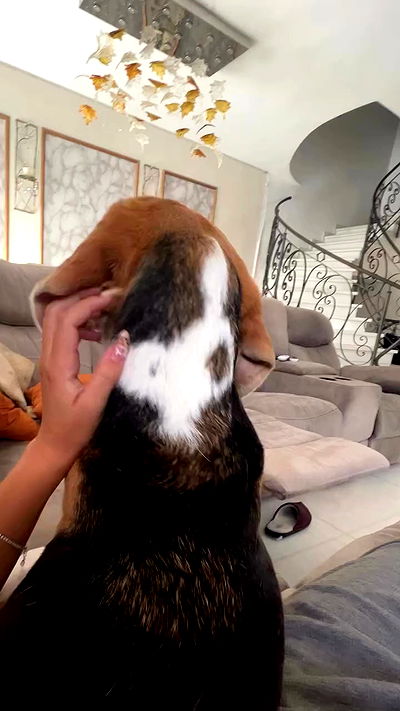 emily.otaku emily.otaku archive video