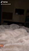 caammmyyy Altpins Profile Picture