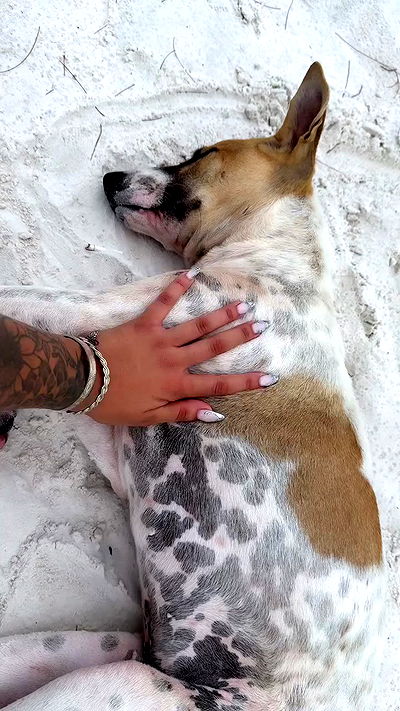 kesemgreenyer kesemgreenyer archive video