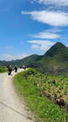 noa_mendel_ Altpins Profile Picture