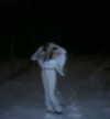 lerasww Altpins Profile Picture