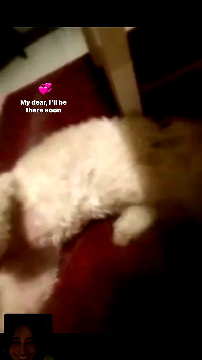 feelbetterinmysweater feelbetterinmysweater archive video