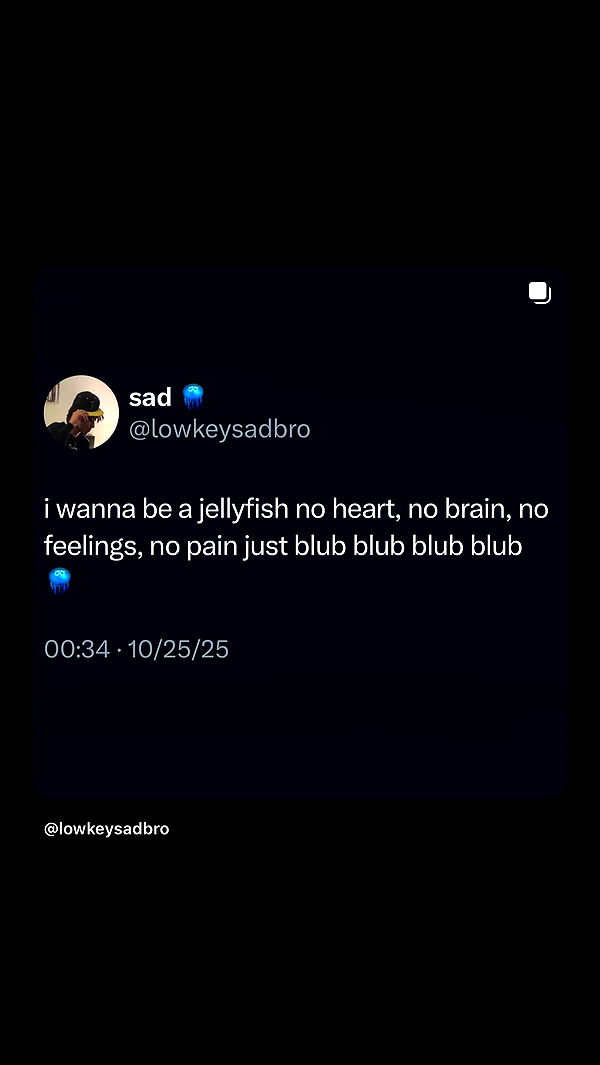 danaikontodiou archive video preview