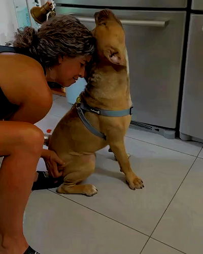 kesemgreenyer kesemgreenyer archive video