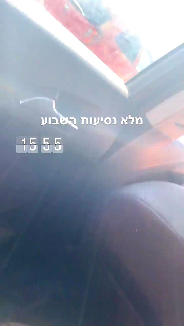 rene2141 archive video preview