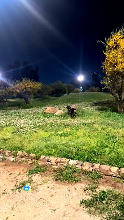 noeemiimii noeemiimii archive video