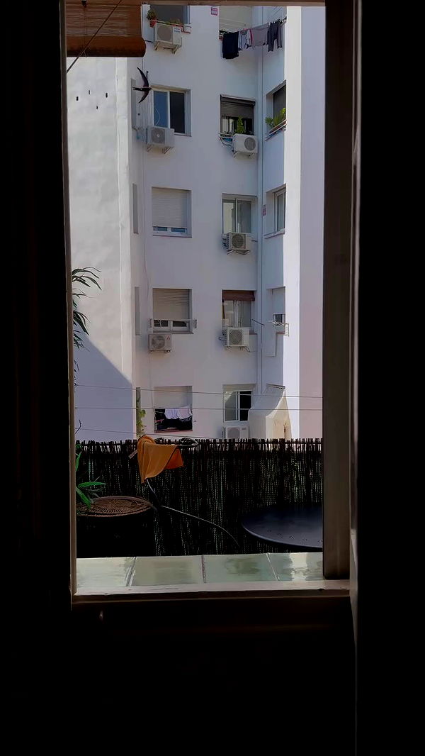 qiyokiuu archive video preview