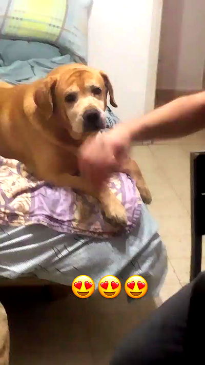 lissi77 lissi77 archive video