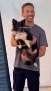 alinshabtay Altpins Profile Picture