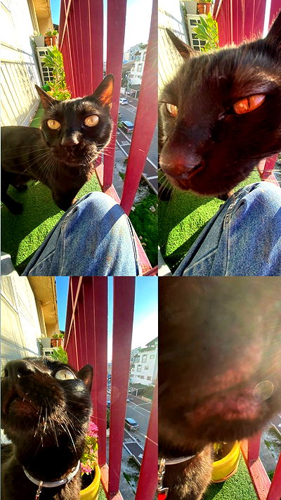 feelbetterinmysweater feelbetterinmysweater archive video