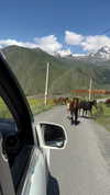 _mashachka_ Altpins Profile Picture