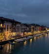 shelly_roberin Altpins Profile Picture