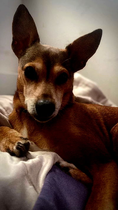 dustheadd dustheadd archive video