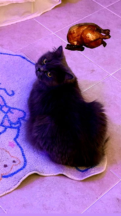 chibinekopurr chibinekopurr archive video