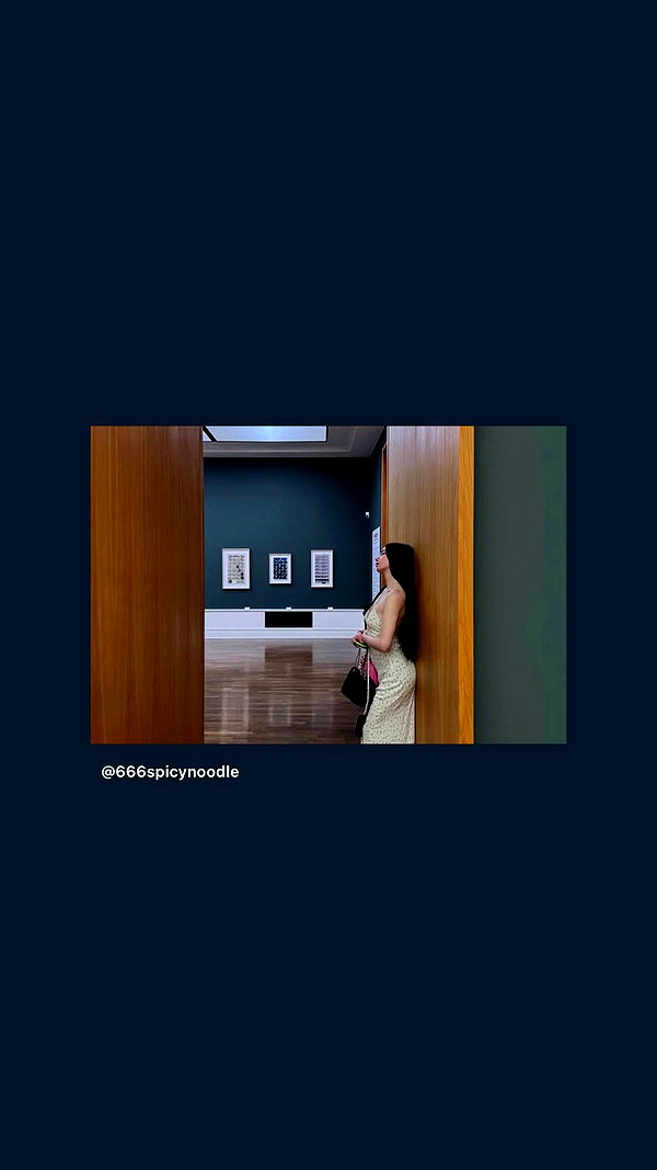 666spicynoodle archive video preview