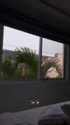 dianavgalvis Altpins Profile Picture