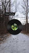 zz.eazoning Altpins Profile Picture