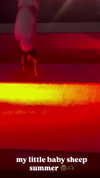 jenny.kaly Altpins Profile Picture