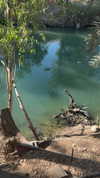 sofiya.pl Altpins Profile Picture