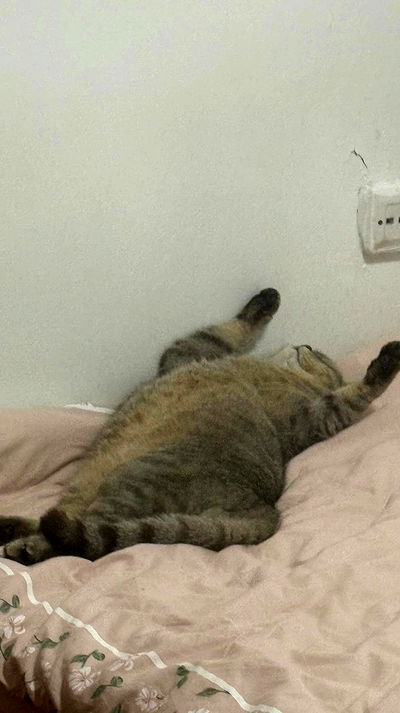 neomiconrad neomiconrad archive video