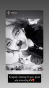 katearucan Altpins Profile Picture