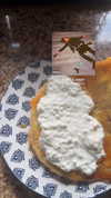 vadim_evs Altpins Profile Picture